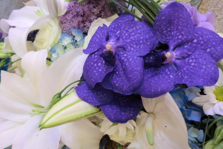 Photo 317453