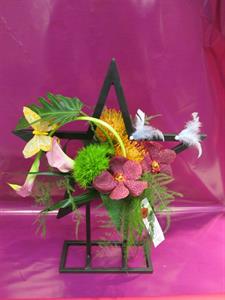Photo 576817