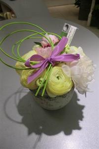 Photo 578773