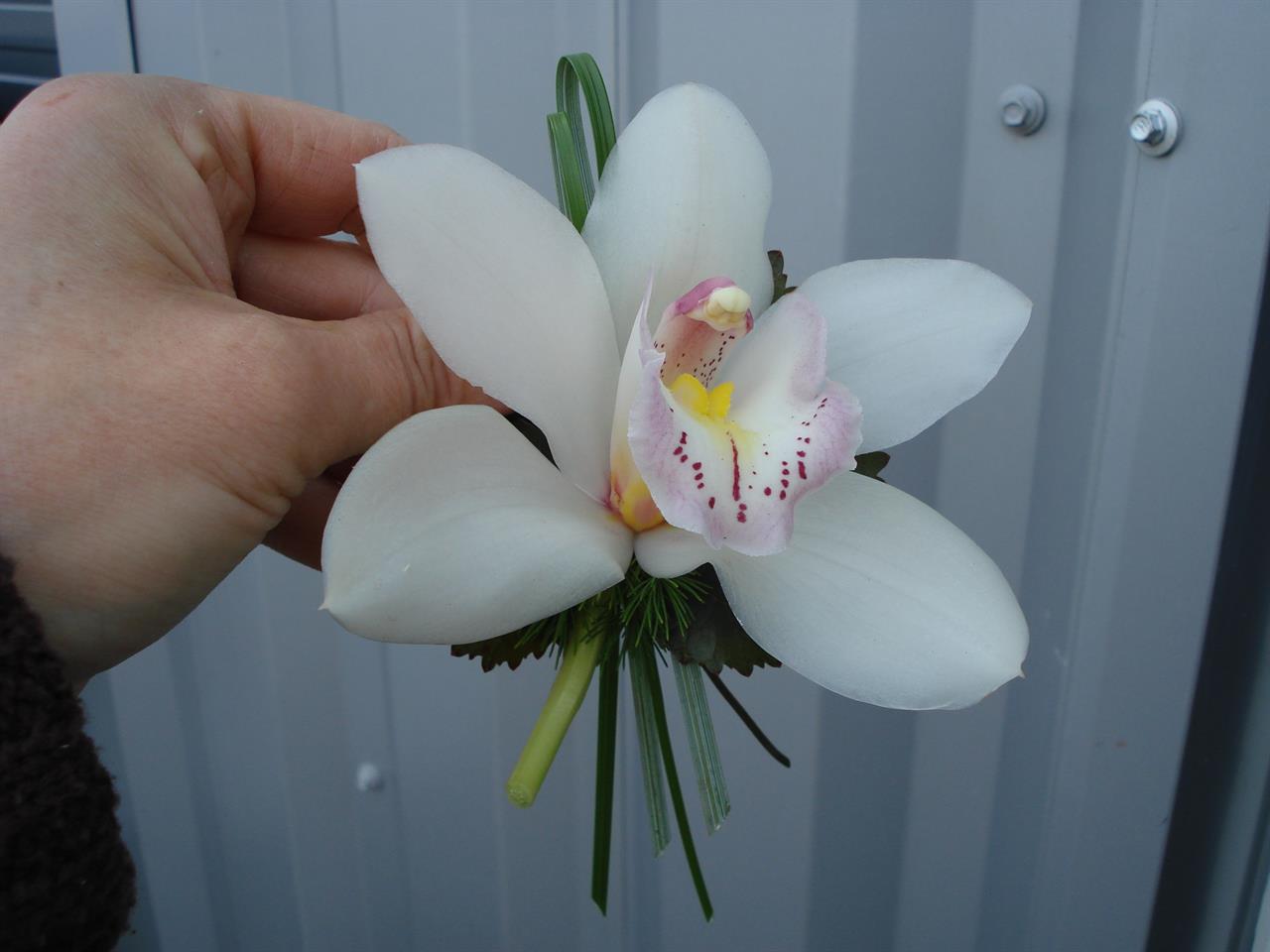 Photo 907116