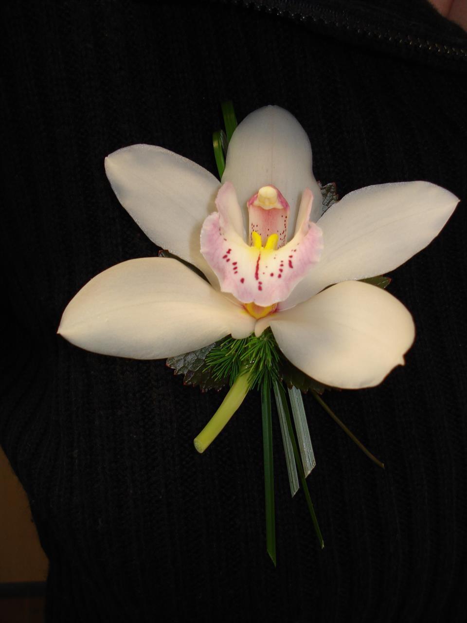 Photo 954366